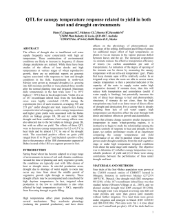 QTL for canopy temperature response related to yield in both heat
