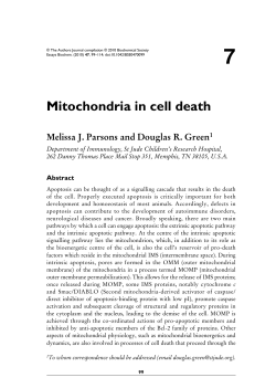 Mitochondria in cell death - Essays in Biochemistry