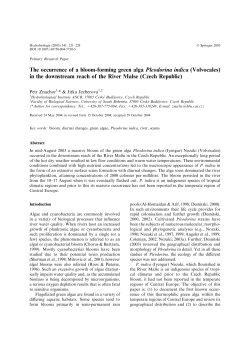 The occurrence of a bloom-forming green alga Pleodorina indica