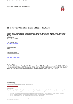 3-D Vector Flow Using a Row-Column Addressed CMUT