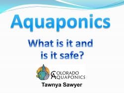 Aquaponics