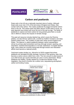 Carbon Flux and Peatlands – some recent information from the