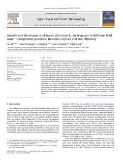 Growth and development of maize (Zea mays L.) in response to