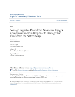 Solidago Gigantea Plants from Nonnative Ranges Compensate