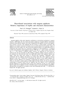 Macrofaunal associations with seagrass epiphytes Relative