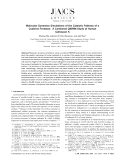 Molecular Dynamics Simulations of the Catalytic Pathway of a