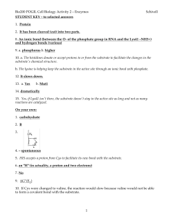 Bio200 POGIL Cell Biology Activity 2 &ndash; Enzymes Schivell 1
