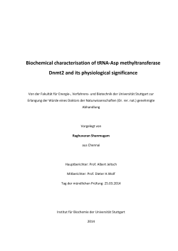 Biochemical characterisation of tRNA