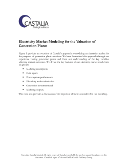 Electricity Market Modeling for the Valuation of Generation Plants