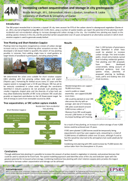 Increasing carbon sequestration and storage in city