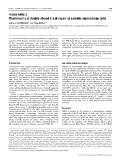 Mechanisms of double-strand break repair in somatic mammalian cells