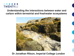 Understanding the interactions between water and carbon within