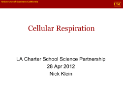 Powerpoint slide show