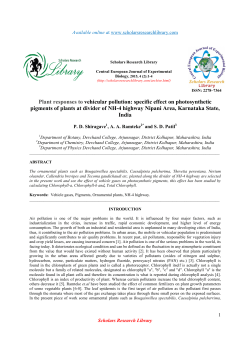 Plant responses to vehicular pollution: specific effect
