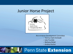 Junior Horse Project - Penn State Animal Science