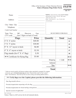 Total Flags Quantity Price Total