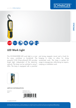 LED Work Light - SCHWAIGER GmbH