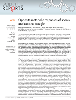 Opposite metabolic responses of shoots and roots to - CREAF