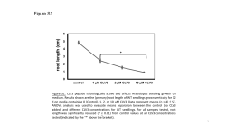 control 1 &micro;M CLV3 2 &micro;M CLV3 10 &micro;M CLV3 root length (cm)