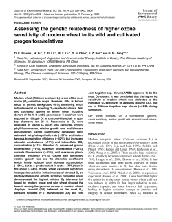 Assessing the genetic relatedness of higher ozone sensitivity of