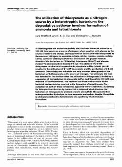 The utilization of thiocyanate as a nitrogen source by a heterotrophic