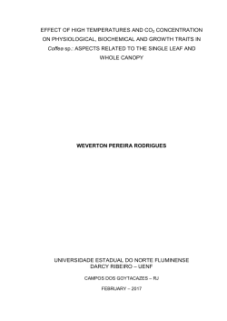 EFFECT OF HIGH TEMPERATURES AND CO2