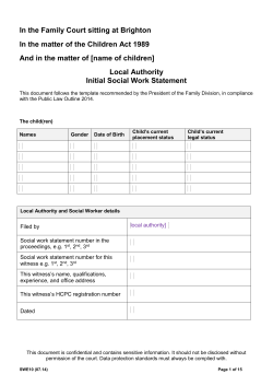 Local authority social work evidence template
