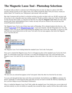 The Magnetic Lasso Tool