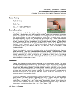 Common Name (Scientific name)