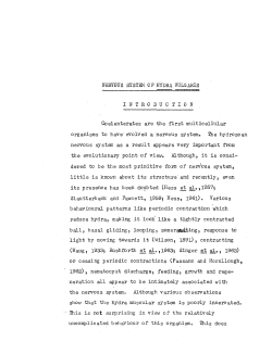 Coelenterates are the first multicellular organisms to have&middot; evolved a