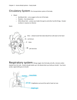 Chapter 3 &ndash; Human Body Systems &ndash; Study Guide Circulatory