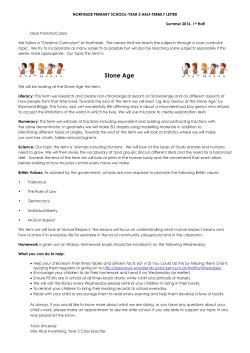 Stone Age - Northside Primary School