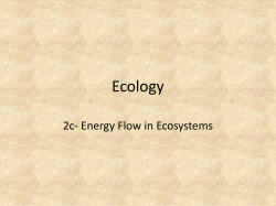 Ecology - msfoltzbio