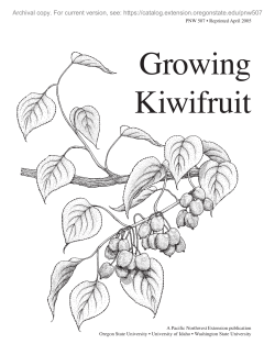 Growing Kiwifruit, PNW 507 (Oregon State University Extension