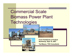 Commercial Scale Biomass Power Plant Technologies