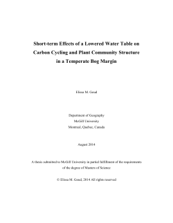 Short-term Effects of a Lowered Water Table on Carbon Cycling and