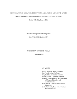 Organizational Behavior: Perceptions Analysis