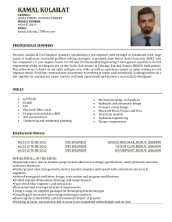 professional summary