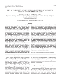 life at stable low oxygen levels: adaptations of animals to oceanic