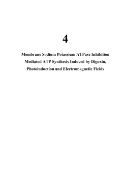 Membrane Sodium Potassium ATPase Inhibition Mediated ATP