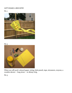 LET`S MAKE A BEE KITE! Pic 1 Pic 2 What you