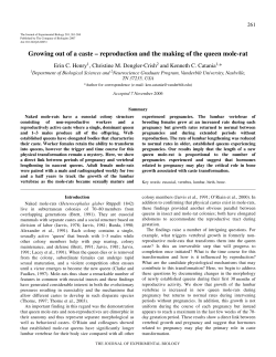 Growing out of a caste &ndash; reproduction and the making of the queen