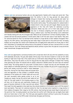 aquatic mammals