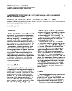 Multiple extrachromosomal deoxyribonucleic acid molecules in