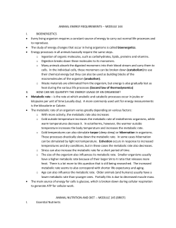 ANIMAL ENERGY REQUIREMENTS -