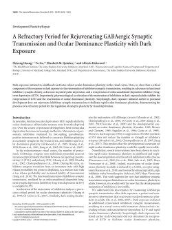 A Refractory Period for Rejuvenating GABAergic