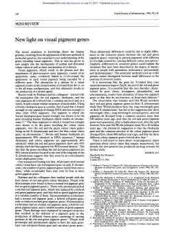 New light on visual pigment genes