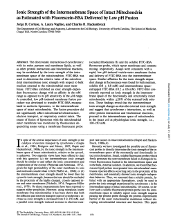 Ionic Strength of the Intermembrane Space of Intact Mitochondria as