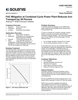 FAC Mitigation at Combined Cycle Power Plant Reduces