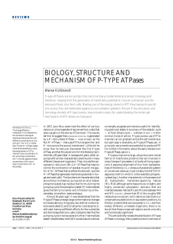 BIOLOGY, STRUCTURE AND MECHANISM OF P